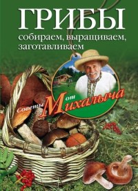 Грибы. Собираем, выращиваем, заготавливаем - Николай Звонарев - Читать книги онлайн | Слушать аудиокниги онлайн | Электронная библиотека books-lib.com