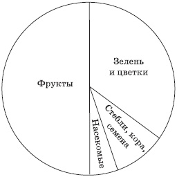 Сыроедение для очищения и здоровья Сыроедение для очищения и здоровья