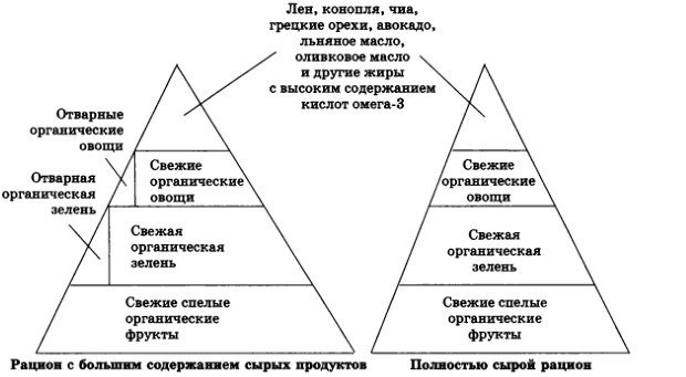 Разумное сыроедение. 13-й шаг к здоровью (+ Книга рецептов нового поколения) Разумное сыроедение. 13-й шаг к здоровью (+ Книга рецептов нового поколения)