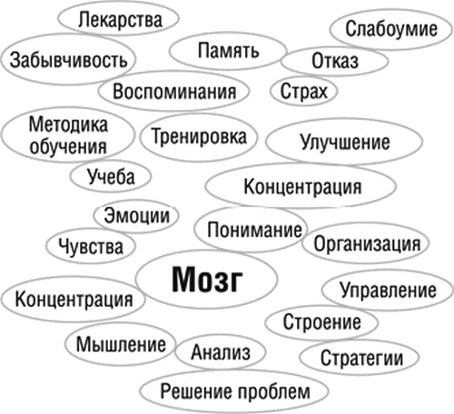 Прокачай свой мозг! Прокачай свой мозг!