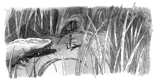 Тоби Лолнесс. Книга 1. На волосок от гибели Тоби Лолнесс. Книга 1. На волосок от гибели
