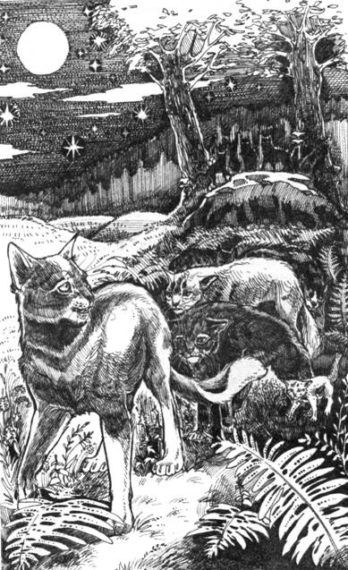 Нерассказанные истории. История Остролистой Нерассказанные истории. История Остролистой