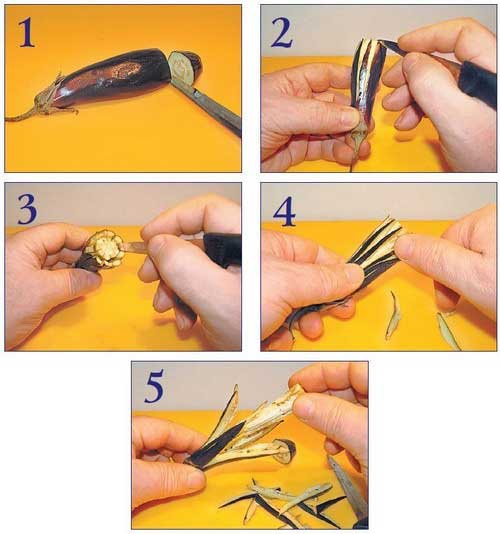 Необычные украшения из обычных овощей Необычные украшения из обычных овощей