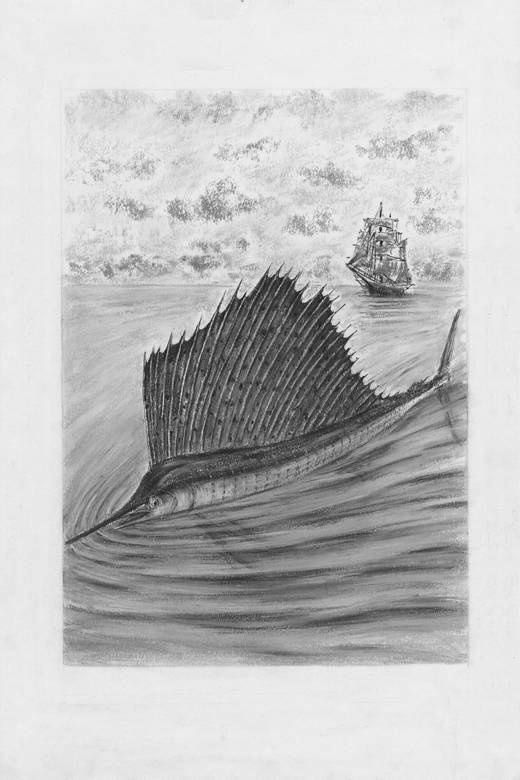 Киты и люди Киты и люди