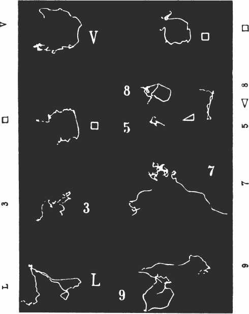 Иллюстрированная история суеверий и волшебства Иллюстрированная история суеверий и волшебства