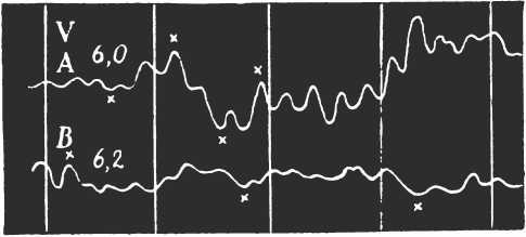Иллюстрированная история суеверий и волшебства Иллюстрированная история суеверий и волшебства