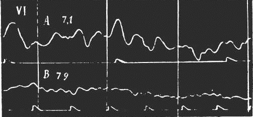 Иллюстрированная история суеверий и волшебства Иллюстрированная история суеверий и волшебства