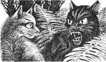 Тайна Щербатой. Наказание. Книга 2 Тайна Щербатой. Наказание. Книга 2