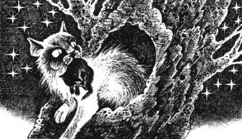 Тайна Щербатой. Наказание. Книга 2 Тайна Щербатой. Наказание. Книга 2