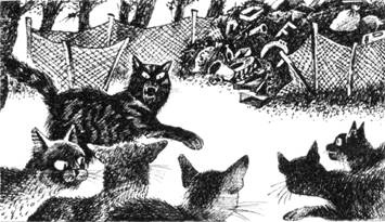 Тайна Щербатой. Наказание. Книга 2 Тайна Щербатой. Наказание. Книга 2