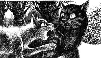 Тайна Щербатой. Наказание. Книга 2 Тайна Щербатой. Наказание. Книга 2