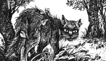 Тайна Щербатой. Наказание. Книга 2 Тайна Щербатой. Наказание. Книга 2