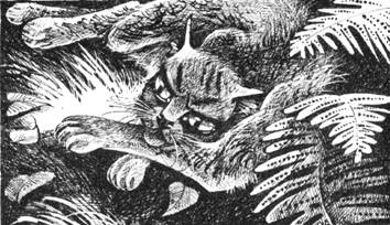 Тайна Щербатой. Наказание. Книга 2 Тайна Щербатой. Наказание. Книга 2