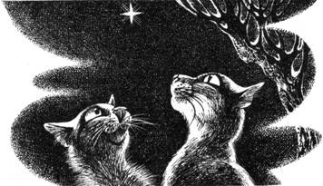 Тайна Щербатой. Книга 1. Предназначение Тайна Щербатой. Книга 1. Предназначение