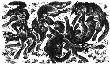 Тайна Щербатой. Книга 1. Предназначение Тайна Щербатой. Книга 1. Предназначение