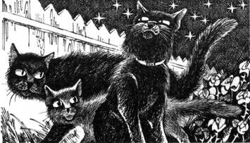 Тайна Щербатой. Книга 1. Предназначение Тайна Щербатой. Книга 1. Предназначение