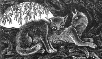 Тайна Щербатой. Книга 1. Предназначение Тайна Щербатой. Книга 1. Предназначение