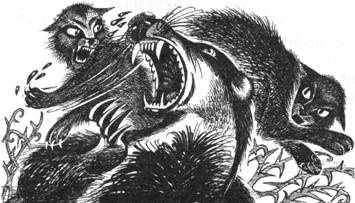 Тайна Щербатой. Книга 1. Предназначение Тайна Щербатой. Книга 1. Предназначение