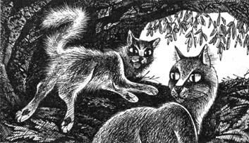 Тайна Щербатой. Книга 1. Предназначение Тайна Щербатой. Книга 1. Предназначение