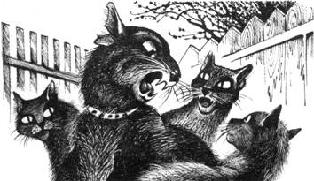 Тайна Щербатой. Книга 1. Предназначение Тайна Щербатой. Книга 1. Предназначение