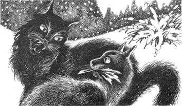 Тайна Щербатой. Книга 1. Предназначение Тайна Щербатой. Книга 1. Предназначение