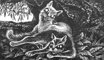 Тайна Щербатой. Книга 1. Предназначение Тайна Щербатой. Книга 1. Предназначение