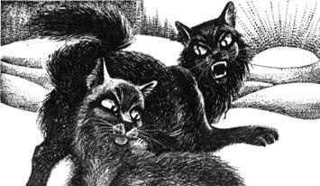 Тайна Щербатой. Книга 1. Предназначение Тайна Щербатой. Книга 1. Предназначение