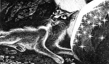 Тайна Щербатой. Книга 1. Предназначение Тайна Щербатой. Книга 1. Предназначение