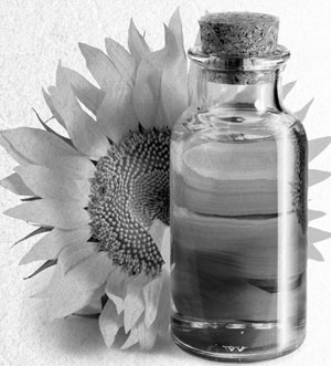 Советское домоводство Советское домоводство