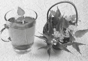 Советское домоводство Советское домоводство