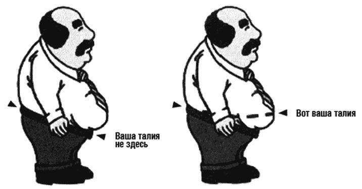 Химия здорового питания Химия здорового питания