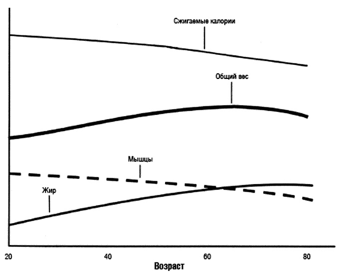 Химия здорового питания Химия здорового питания