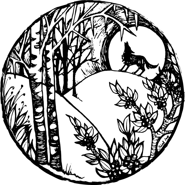 Foxcraft. Книга 1. Зачарованные Foxcraft. Книга 1. Зачарованные