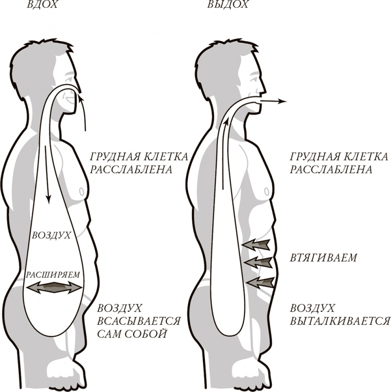 Жизнь: зарядное устройство. Скрытые возможности вашего организма Жизнь: зарядное устройство. Скрытые возможности вашего организма