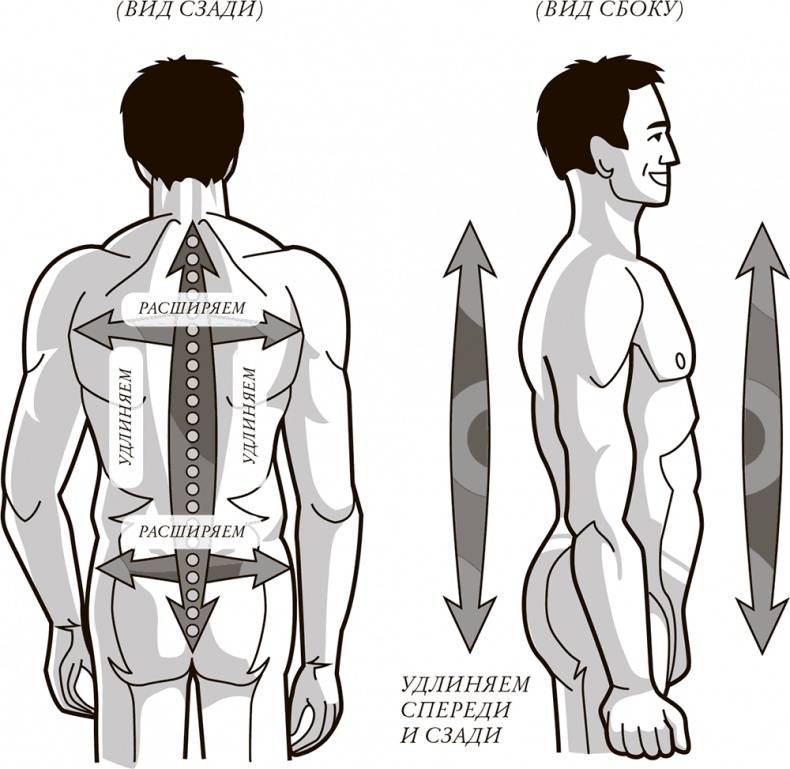 Жизнь: зарядное устройство. Скрытые возможности вашего организма Жизнь: зарядное устройство. Скрытые возможности вашего организма