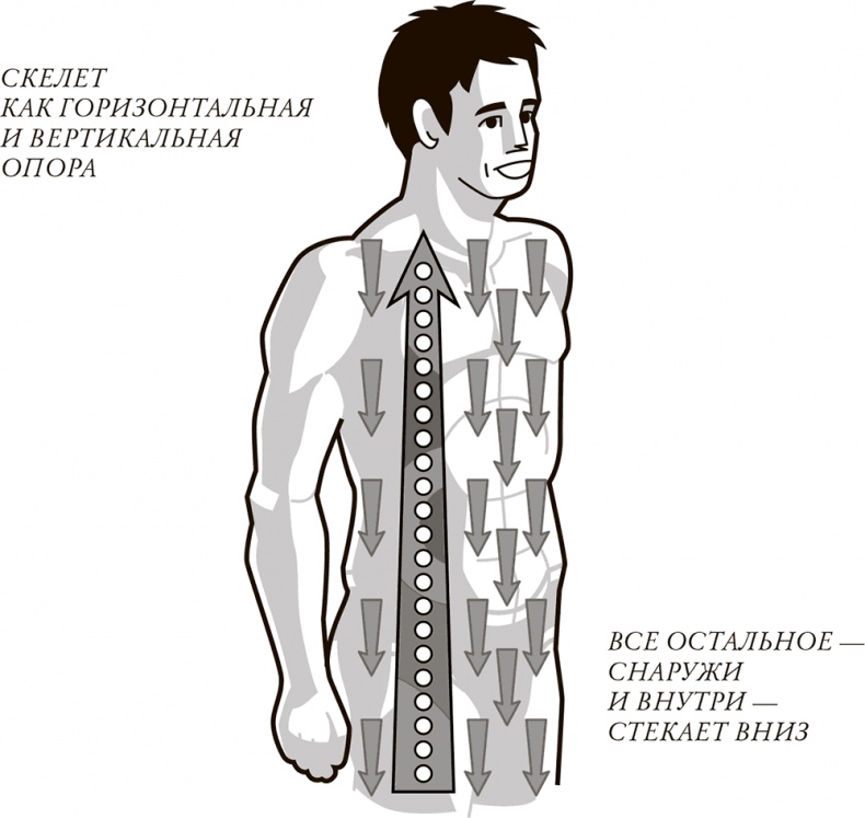 Жизнь: зарядное устройство. Скрытые возможности вашего организма Жизнь: зарядное устройство. Скрытые возможности вашего организма
