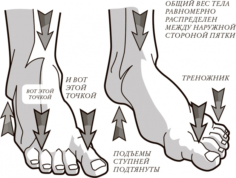 Жизнь: зарядное устройство. Скрытые возможности вашего организма Жизнь: зарядное устройство. Скрытые возможности вашего организма