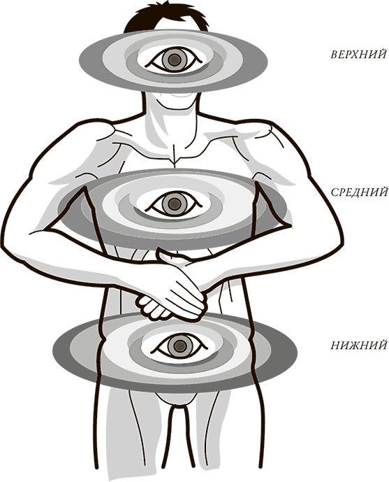 Жизнь: зарядное устройство. Скрытые возможности вашего организма Жизнь: зарядное устройство. Скрытые возможности вашего организма