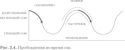 Здоровый сон — счастливый ребенок Здоровый сон — счастливый ребенок