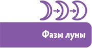 Увлекательная астрономия. Детские энциклопедии с Чевостиком Увлекательная астрономия. Детские энциклопедии с Чевостиком