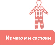 Как устроен человек Как устроен человек