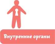 Как устроен человек Как устроен человек