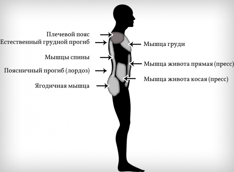 Идеальная осанка Идеальная осанка