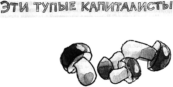 Запуск разрешаю! Запуск разрешаю!