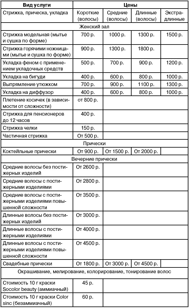 Салон красоты. От бизнес-плана до реального дохода Салон красоты. От бизнес-плана до реального дохода