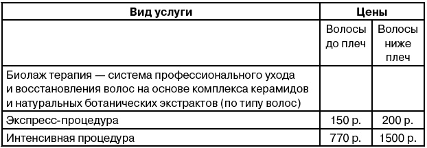 Салон красоты. От бизнес-плана до реального дохода Салон красоты. От бизнес-плана до реального дохода
