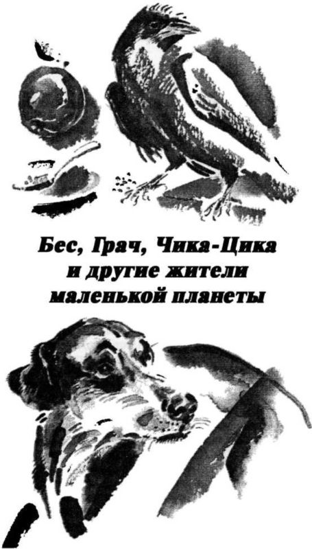 Смешные и печальные истории из жизни любителей ружейной охоты и ужения рыбы Смешные и печальные истории из жизни любителей ружейной охоты и ужения рыбы