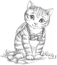 Котёнок Белла, или Любопытный носик Котёнок Белла, или Любопытный носик