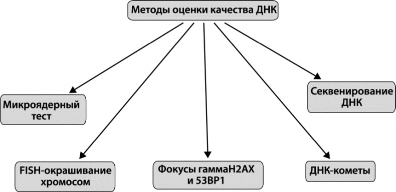 Как победить свой возраст? 8 уникальных способов, которые помогут достичь долголетия Как победить свой возраст? 8 уникальных способов, которые помогут достичь долголетия