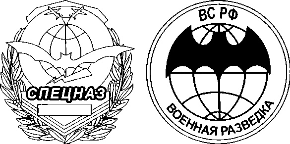 Энциклопедия спецназа стран мира Энциклопедия спецназа стран мира